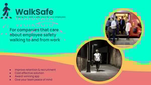 WalkSafe PRO