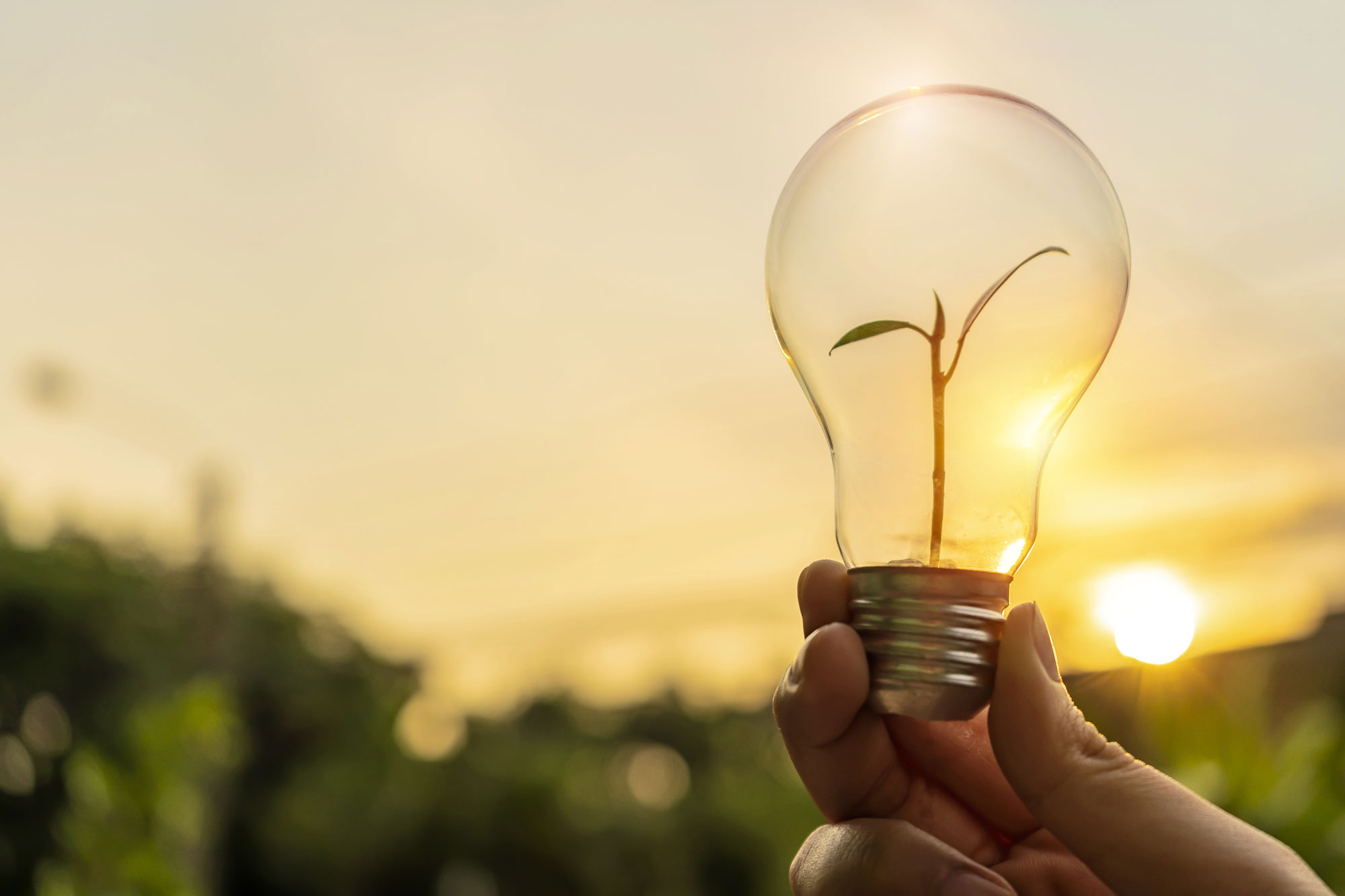 How sustainable lighting leads to a low carbon future